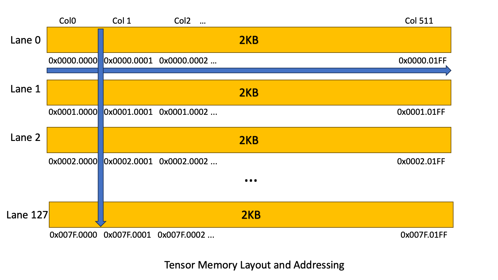 TMEM structure